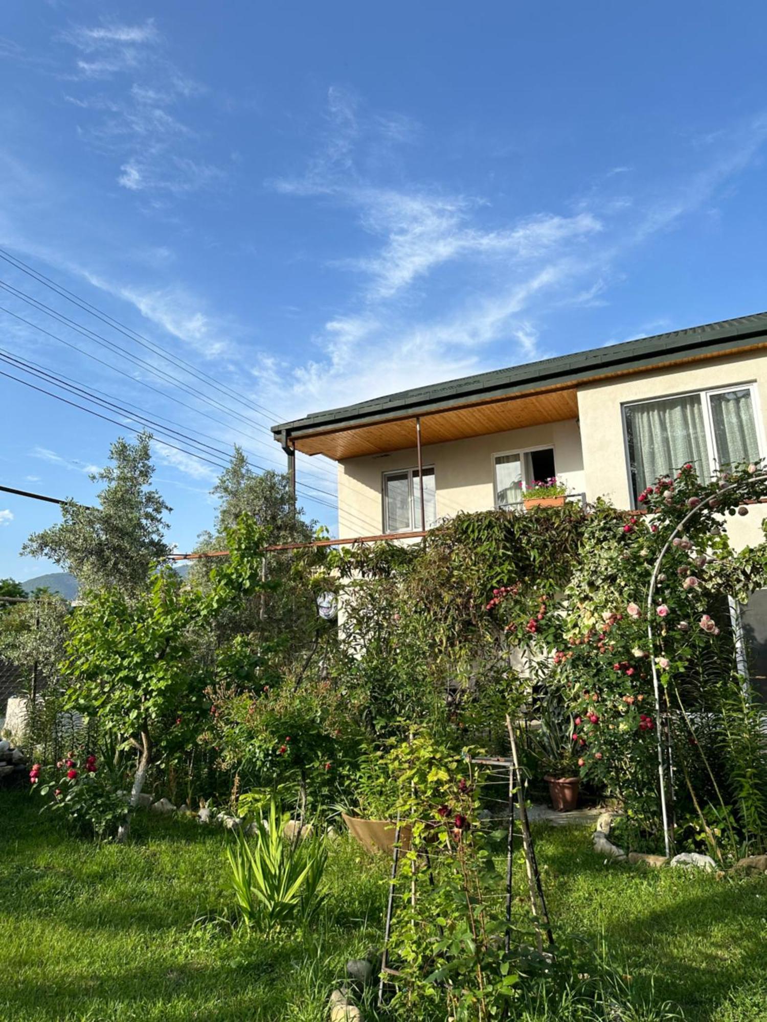 Orenda Telawi Exterior foto